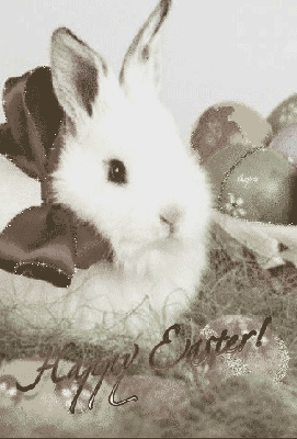 Biały zajączek Happy Easter